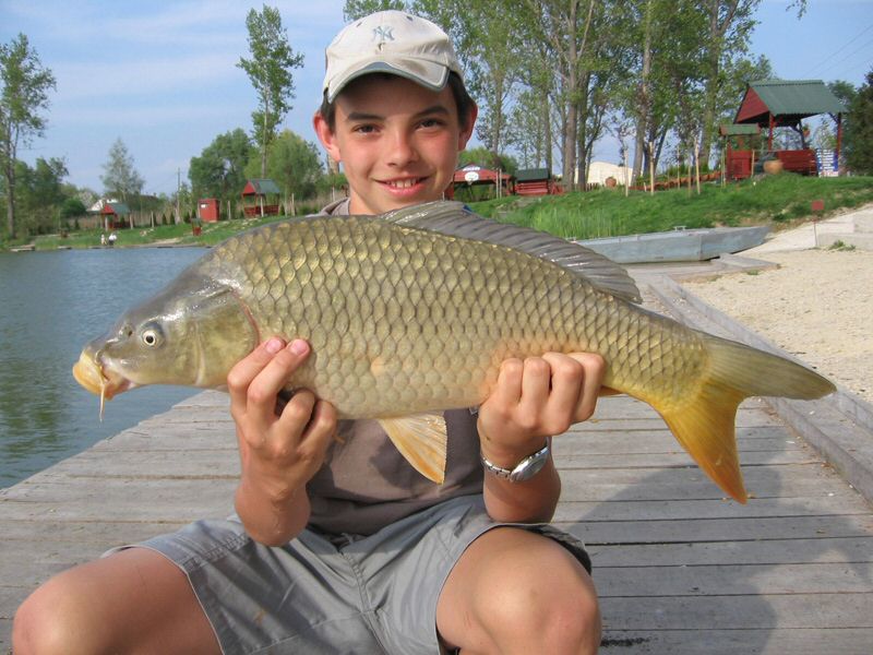 halak 1261.jpg